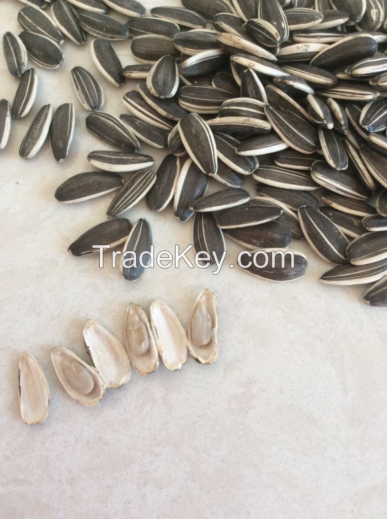 2015 new crop sunflower seeds