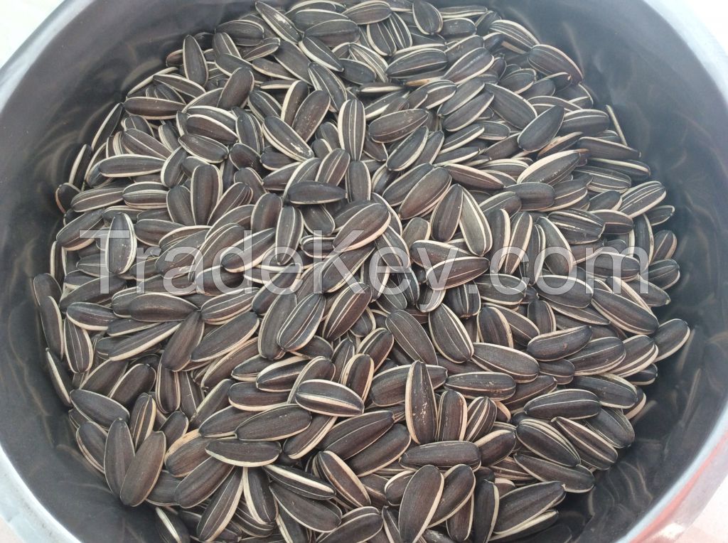 chinese sunflower seeds 