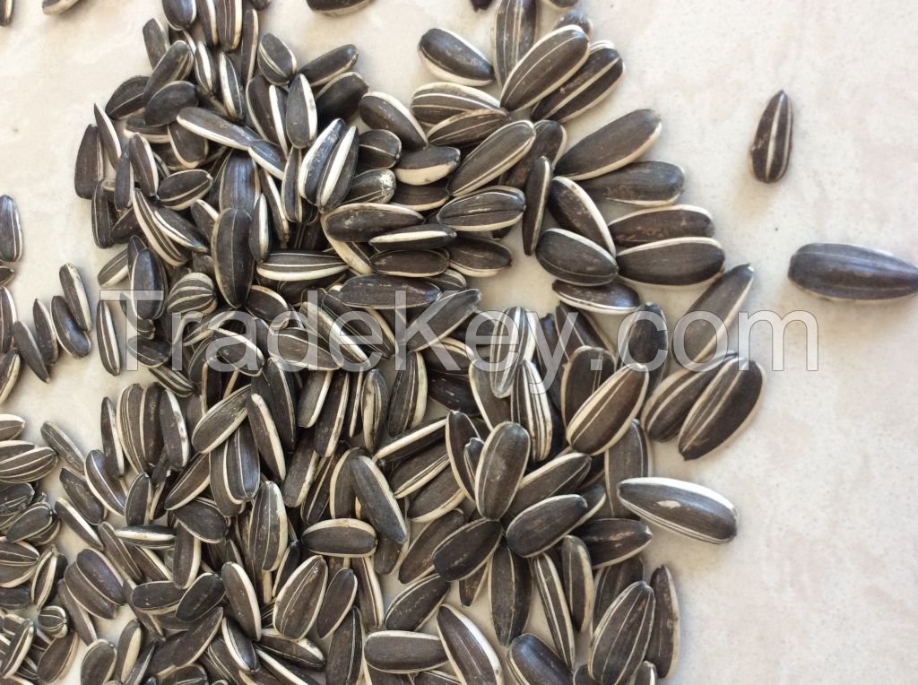 Chinese sunflower seeds