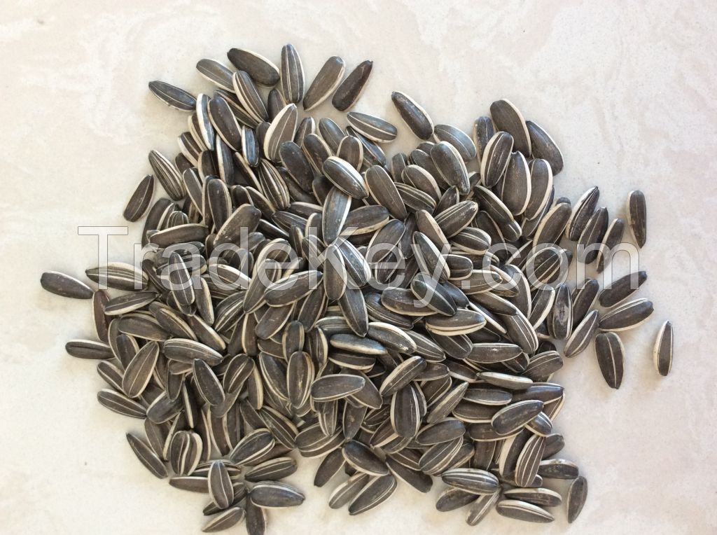 Chinese factory sunflower seeds