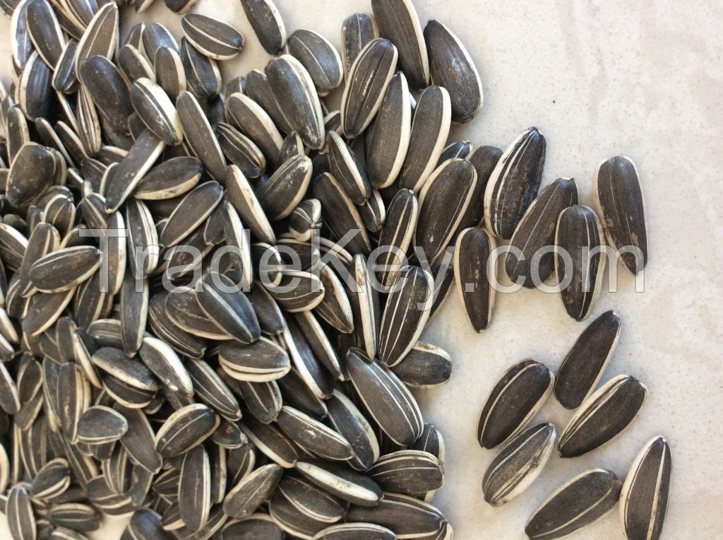 Chinese factory sunflower seeds