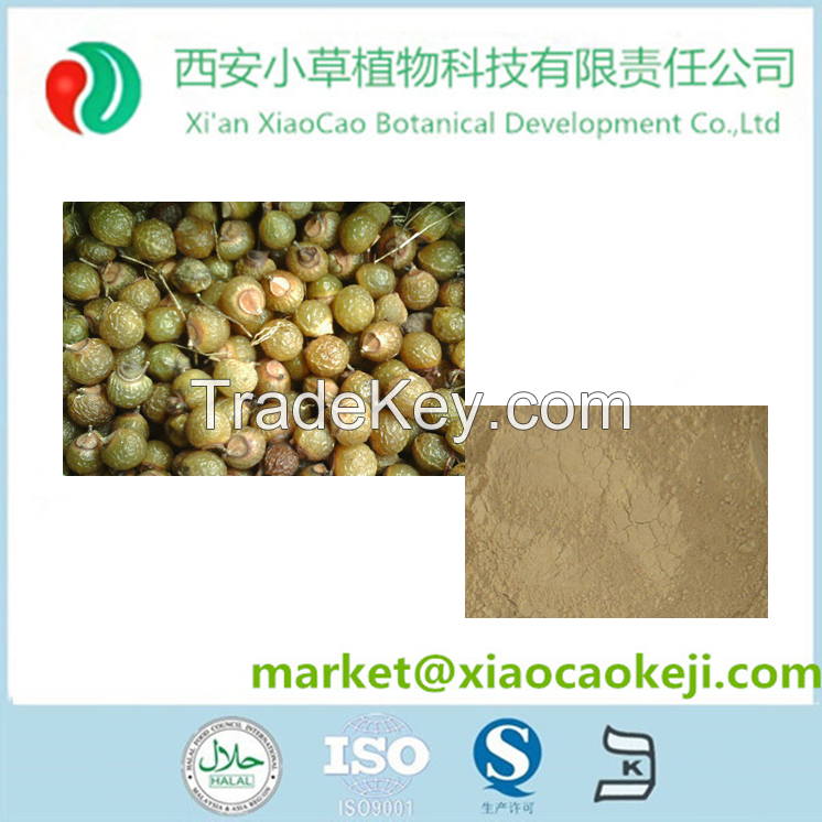 Tremella Fuciformis sporecarp extract10%- 50% polysaccharides