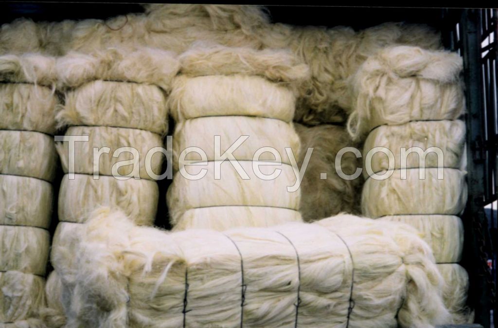 100% NATURAL RAW SISAL FIBER FROM KENYA