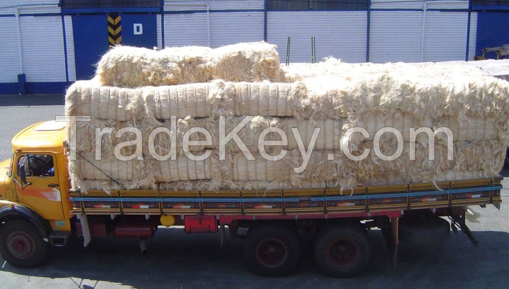 SISAL  FIBER  UG  GRADE  1