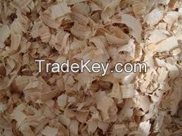 Wood shavings, wood sawdust for animal bedding 