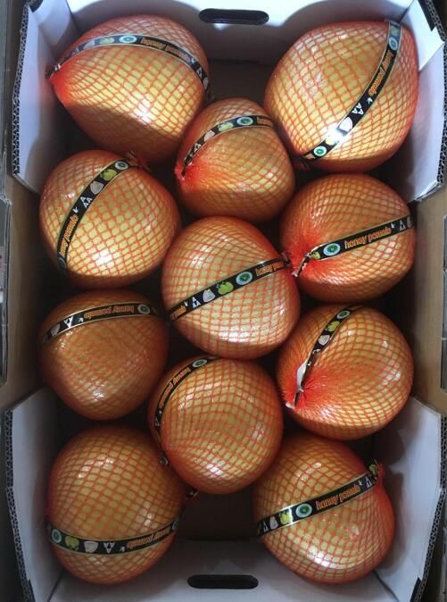 pomelo and chestnut from China
