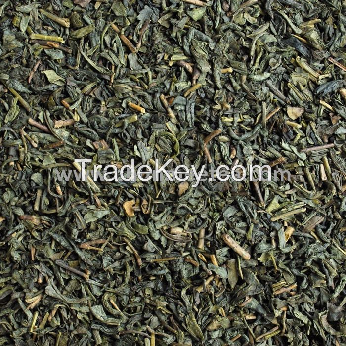 China green tea factory exports for Uzbekistan 