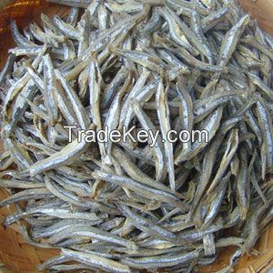 dried anchovy