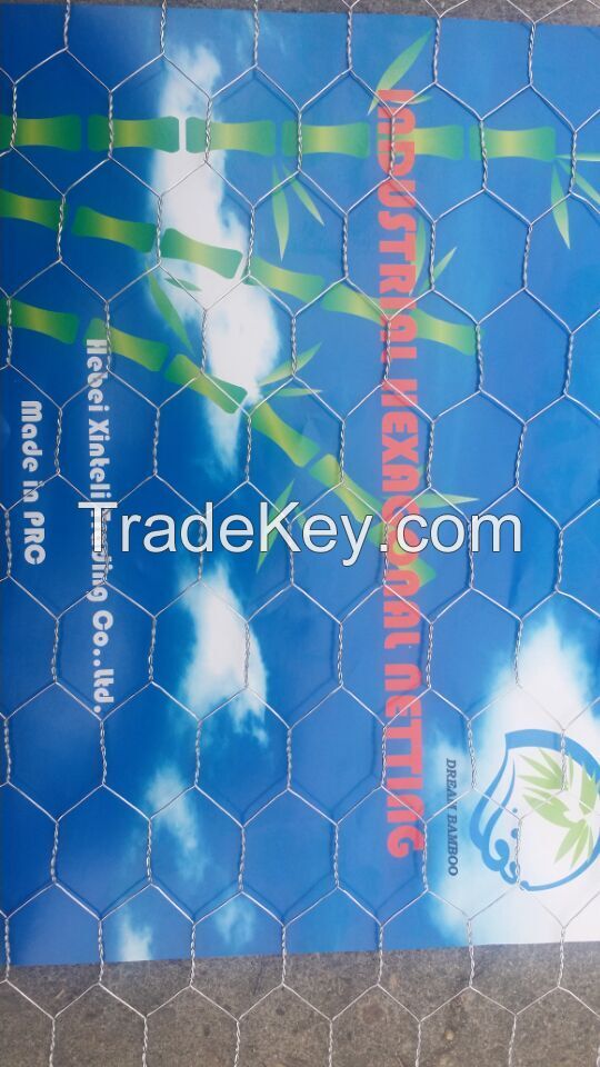 Hexagonal wire mesh