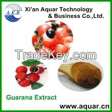 Best Selling Products GMP ISO Certificate / Natural Guarana Extract / High Quality