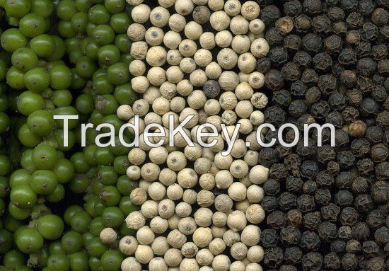 Organic and well processed black and white pepper