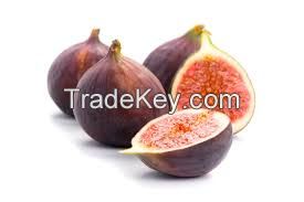 fig best quality 