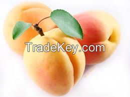 apricot