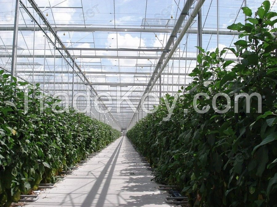 greenhouse glass