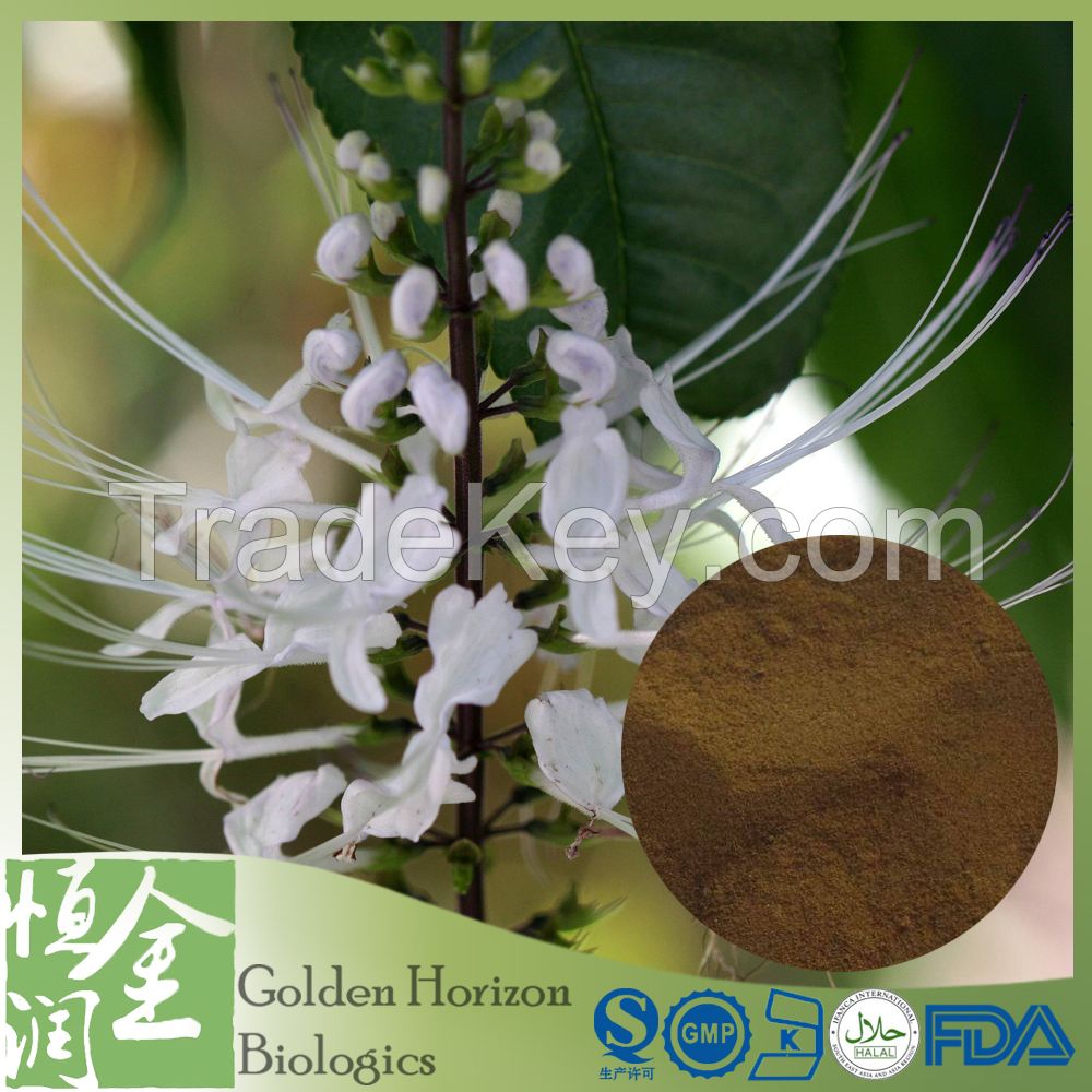 GMP Organic Java Tea Extract 
