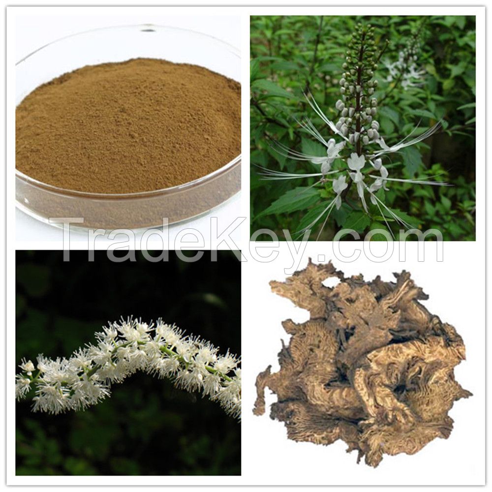 Black Cohosh ISO Quality Extract