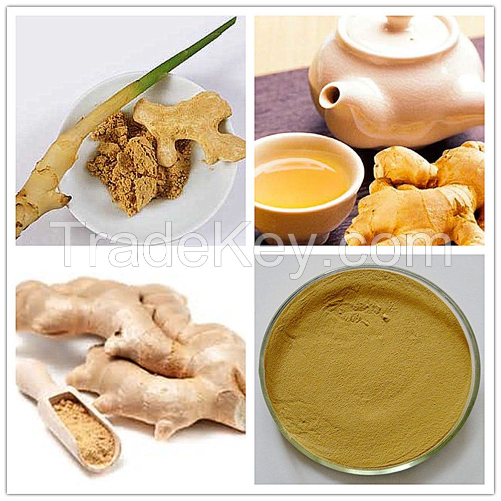 Ginger Extract GMp