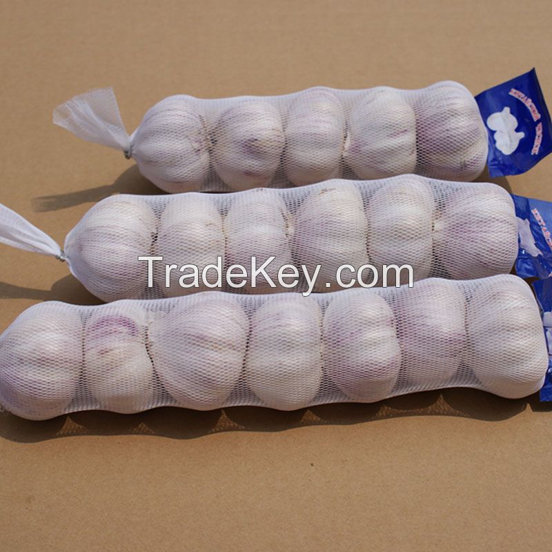 PE garlic mesh bag/small fruit mesh bag/vegetable mesh bag