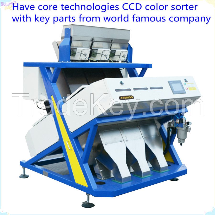 Dry fruit and vegetable sorting machine, raisin/grape processing equipment