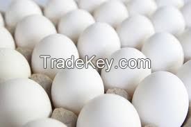 Chicken egg C1 C0 sell in large volumes