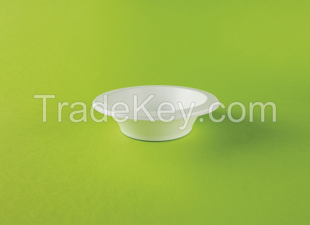 Disposable Plastic Plate