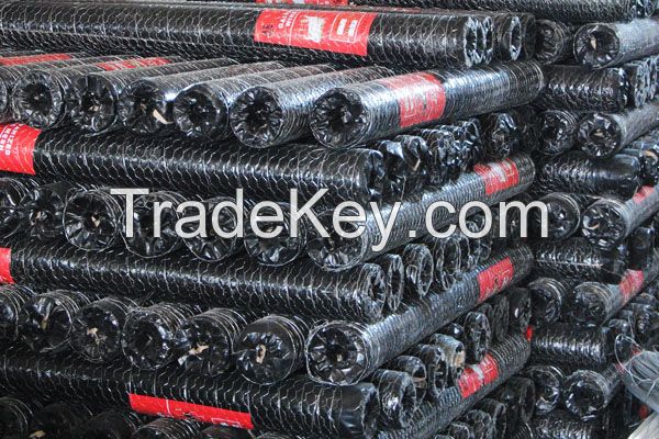 Hexagonal Wire Mesh