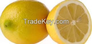 Fresh Citrus Fruits