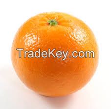 Fresh Oranges