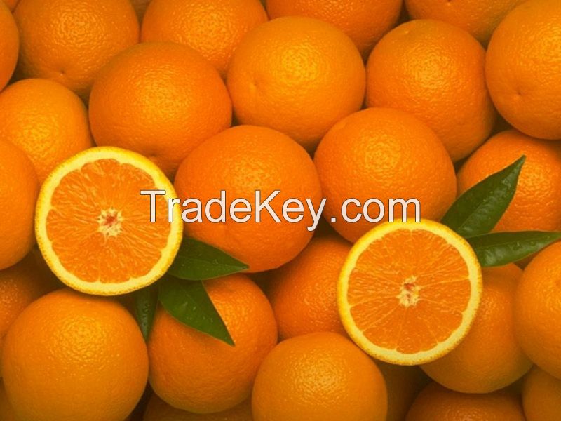 Fresh Oranges