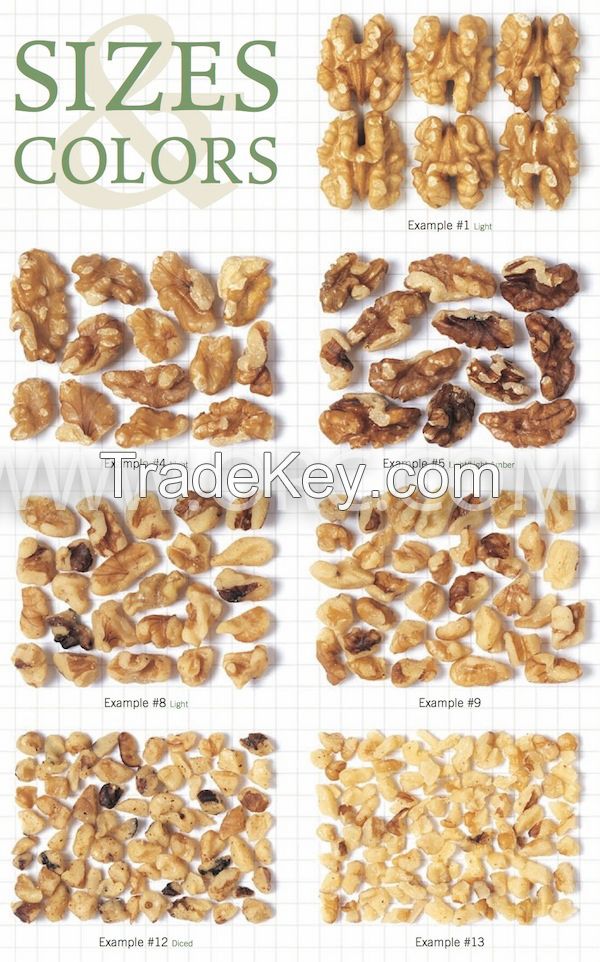 High quality ukrainian walnuts (whole and kernels)