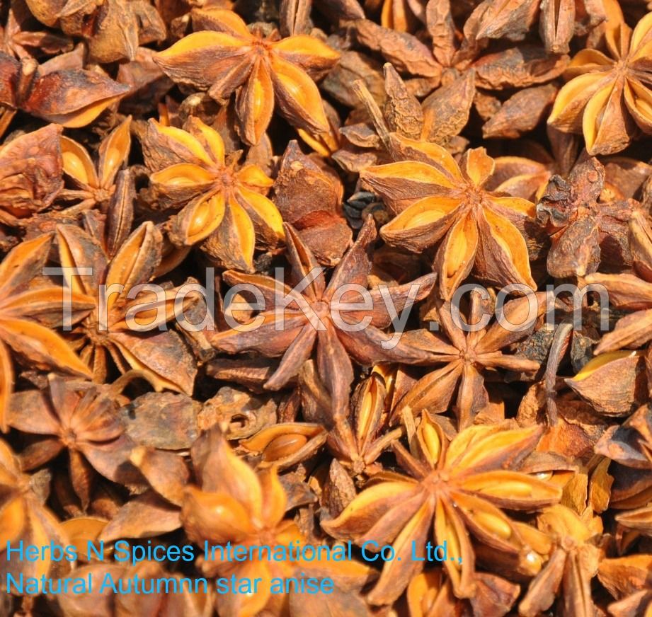 VIETNAM STAR ANISE