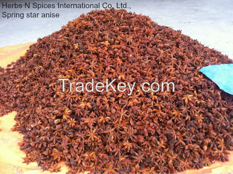 VIETNAM STAR ANISE