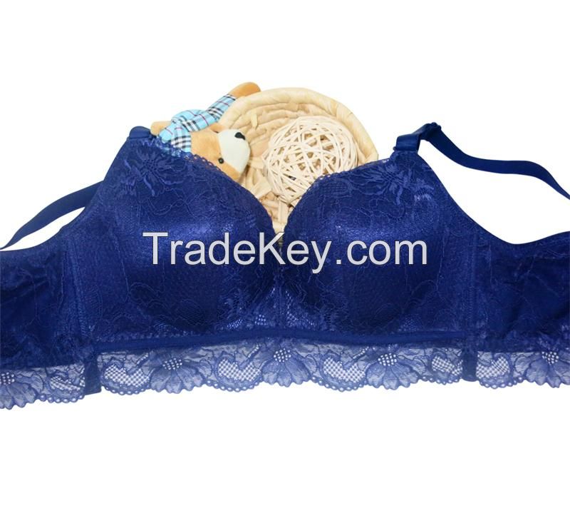 2015 Hot Sexy Delicate Lace Bra and Panty (EPB265)