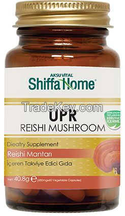 UPR Capsule Red Reishi Mushroom Extract Capsule Anti Aging Retardant Health Food Supplement