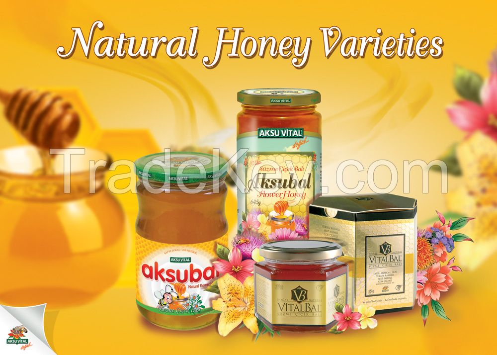 Honey Nuts Natural Nuts in Honey Jar Walnut Hazelnut Peanut Pistachio Almond  By Aksu Vital Natural Herbal Products