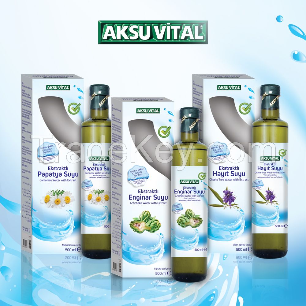 Artichoke Extract Water Botanical Health Drink Beverage