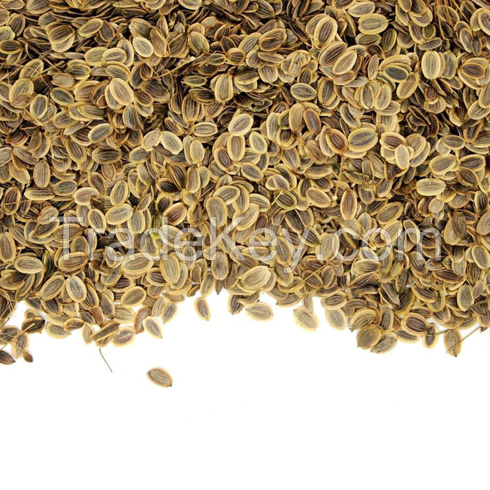 Dill Seed Oil Bulk Wholesale Natural Herbal Oil for Skin Care