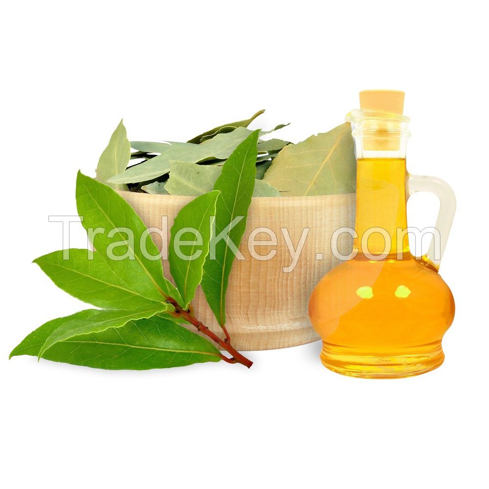 Natural Laurel Leaf Oil (Daphne Oil) Bulk Wholesale GMP Certified