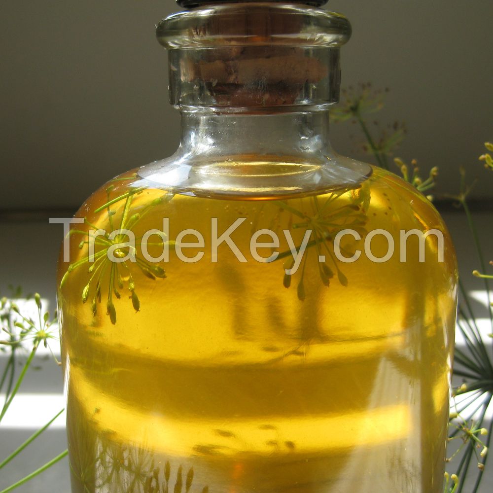 Dill Seed Oil Bulk Wholesale Natural Herbal Oil for Skin Care