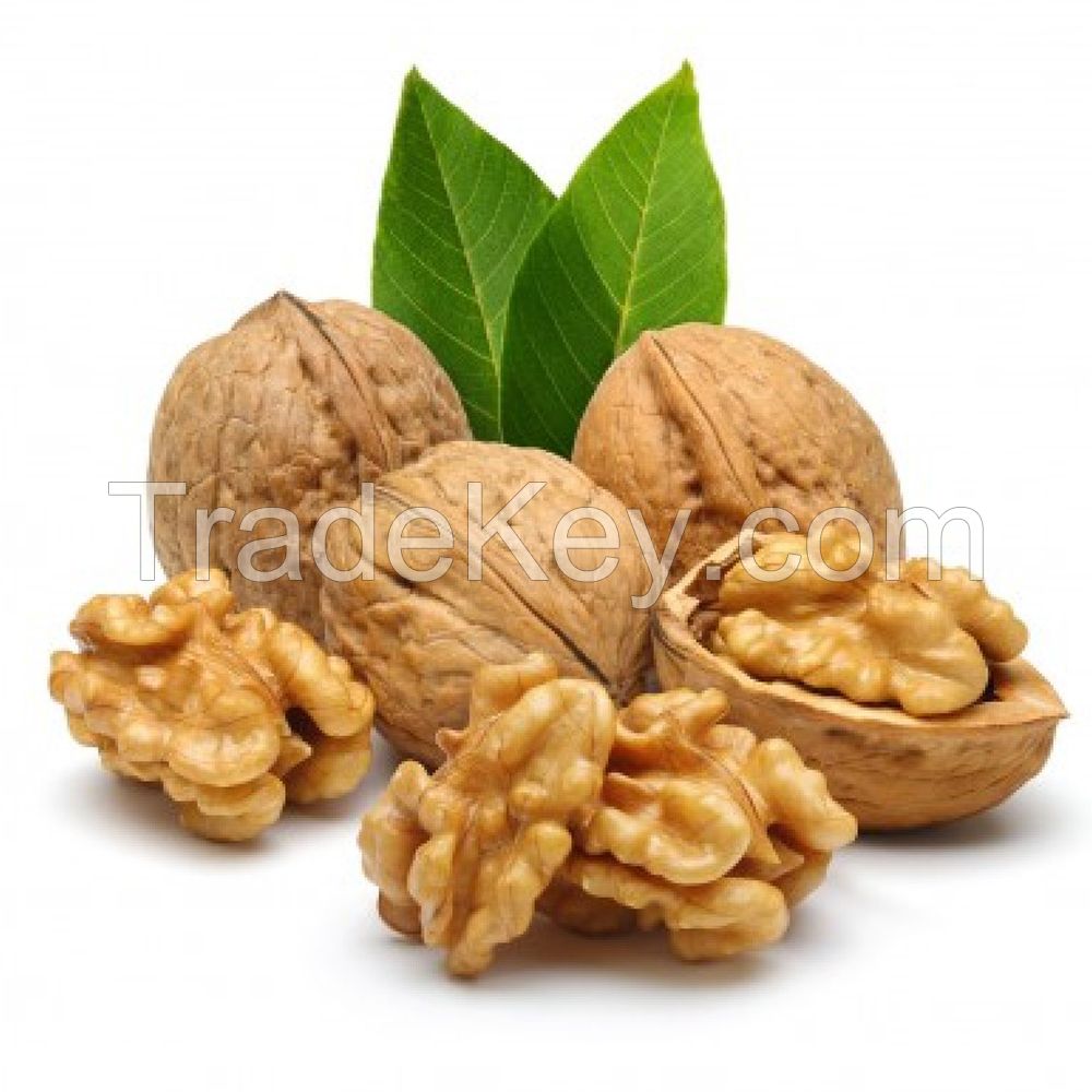 Walnut Oil Skin Care Oil Brand Name Private Label Massage Oil