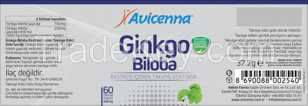 Ginkgo Biloba Extract Capsule Health Food Supplement