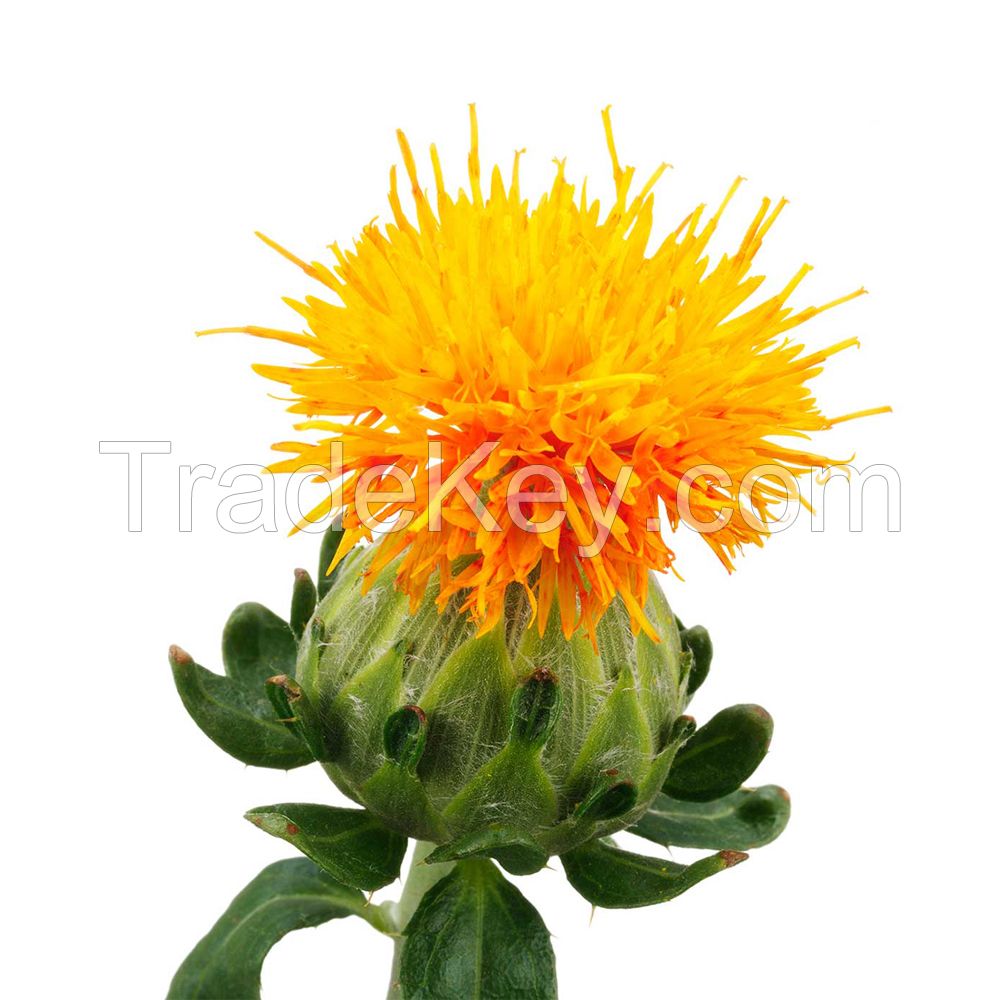 Safflower Oil