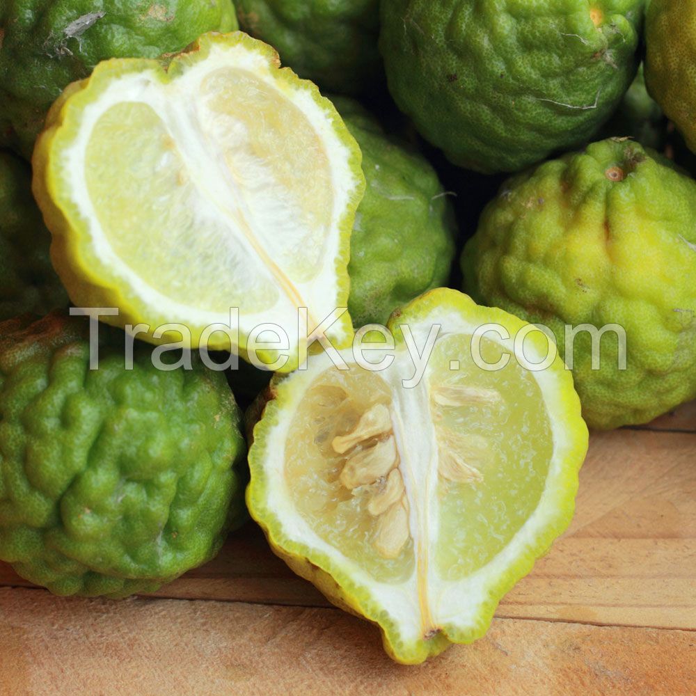 Bergamot Oil