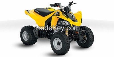 2013 Can-Am DS 250