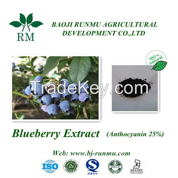 blueberry extract anthocyanidin
