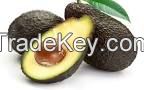 Agriculture Cashew Nut, Black Pepper , Avocados Banana, Coconut 