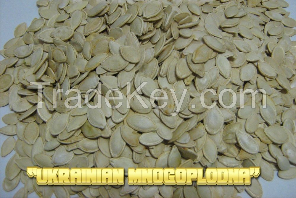 Pumpkin seeds