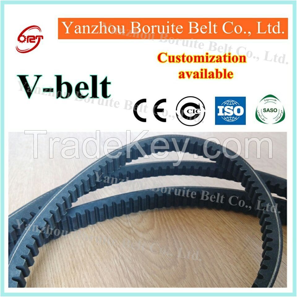 Raw Edge Plain V-Belts