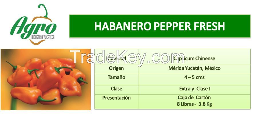 Fresh Habanero Peppers