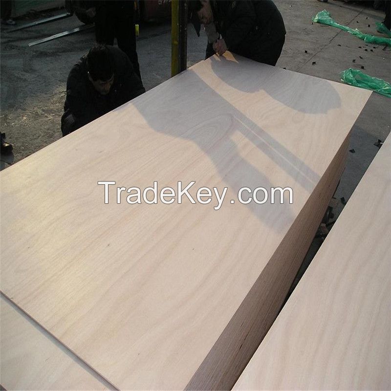 Supply 6mm okoume plywood for furniture